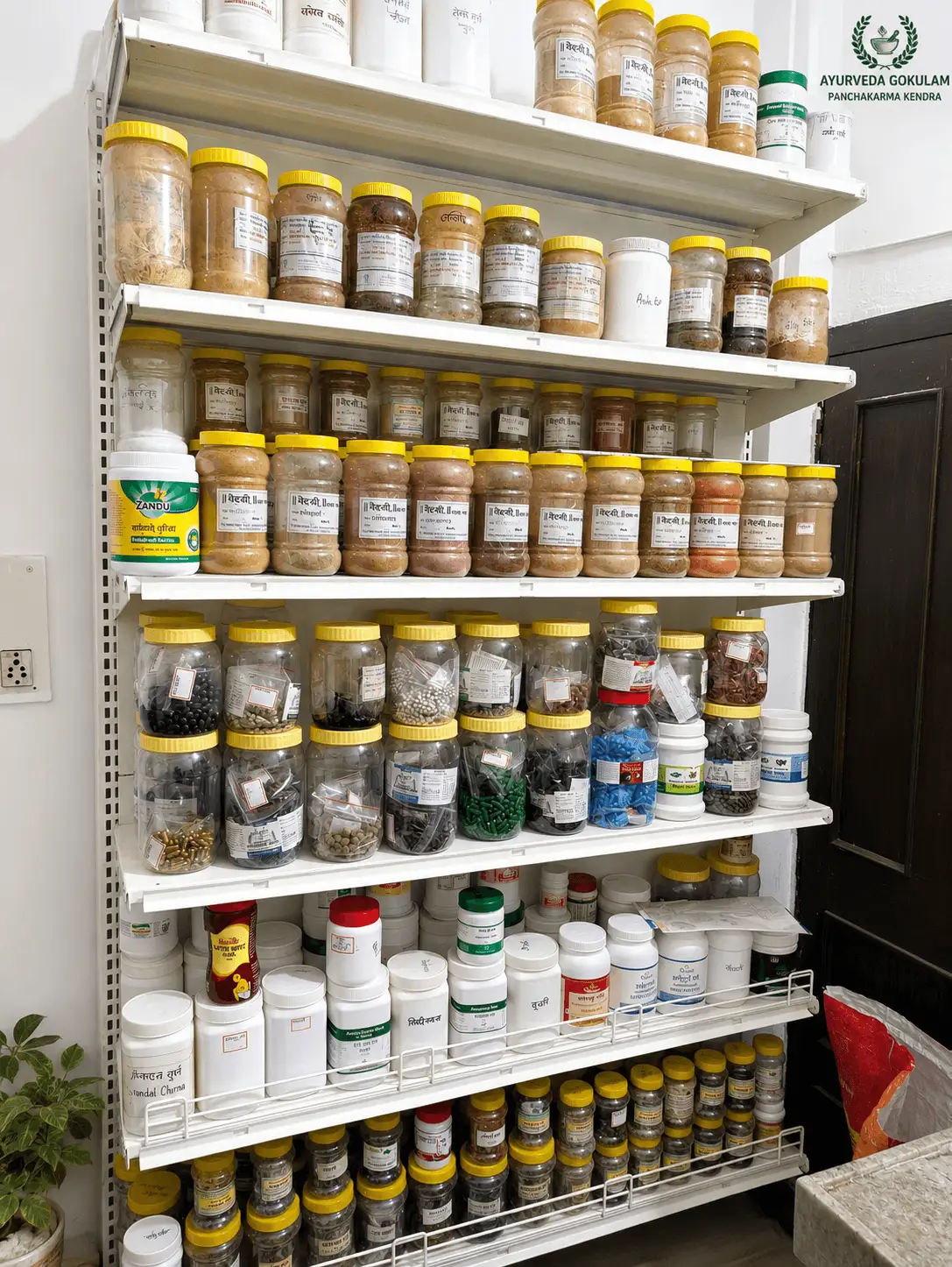 Treatment medicines dispensary at Ayurveda Gokulam, Indore